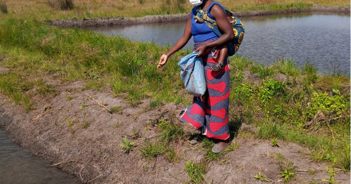 Sustainable Fish Farming: Feeding the future 